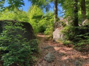 Turistická cesta v lese těsně pod chalupou